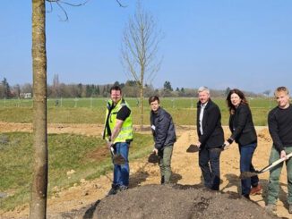 83 Bäume und 2,8 Hektar Grün: Neues Zentrum für das Quartier Bierstadt Nord