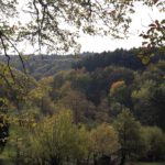 Eltville eröffnet 5,4 Kilometer langen Rundweg in Rauenthal