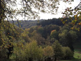 Eltville eröffnet 5,4 Kilometer langen Rundweg in Rauenthal