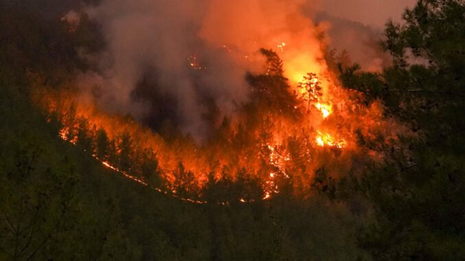 Höchste Waldbrandwarnstufe in der Region führt zu weiterem Feuerverbot auf kommunalen Grillplätzen Höchste Waldbrandwarnstufe in der Region führt zu weiterem Feuerverbot auf kommunalen Grillplätzen