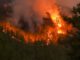 Höchste Waldbrandwarnstufe in der Region führt zu weiterem Feuerverbot auf kommunalen Grillplätzen