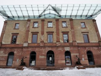 Nordmanntannen zum Selbstschlagen: Stadtwald bietet Verkauf beim Jagdschloss Platte an