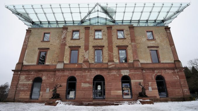 Nordmanntannen zum Selbstschlagen: Stadtwald bietet Verkauf beim Jagdschloss Platte an Nordmanntannen zum Selbstschlagen: Stadtwald bietet Verkauf beim Jagdschloss Platte an