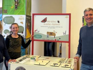 Uni Mainz bringt Infotrail zur Insektenvielfalt in die Innenstadt