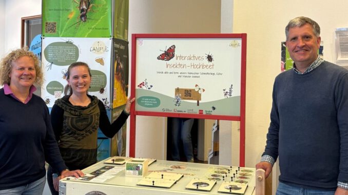 Uni Mainz bringt Infotrail zur Insektenvielfalt in die Innenstadt