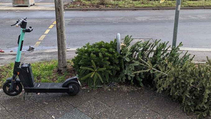 Wiesbaden holt Weihnachtsbäume Mitte Januar vom Grundstück ab